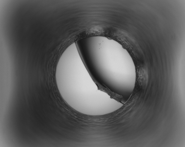 X0000098150617200804171158