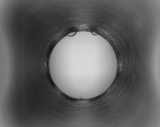 X0000098150618200804171158