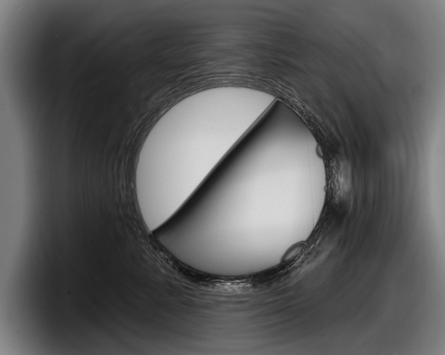 X0000098150619200804171158