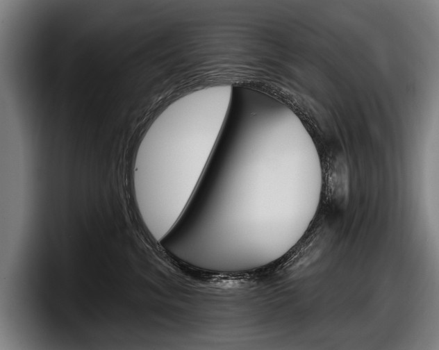 X0000098150620200804171158