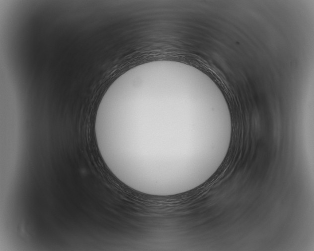 X0000098150621200804171158