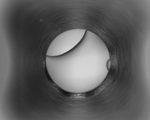 X0000098150622200804171158