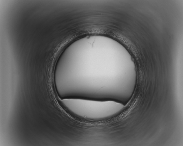 X0000098150625200804171157