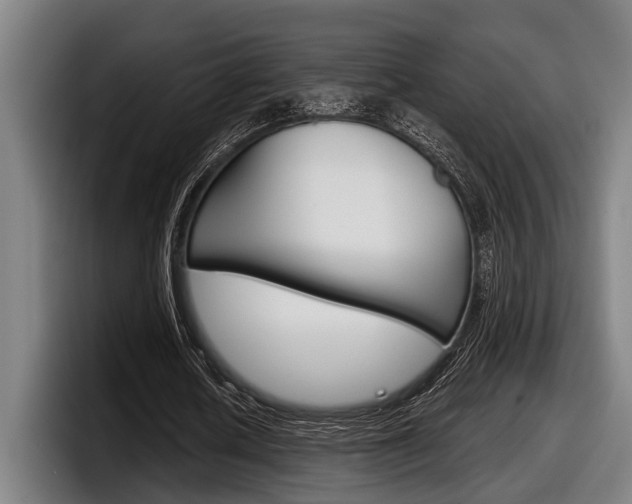 X0000098150626200804171157