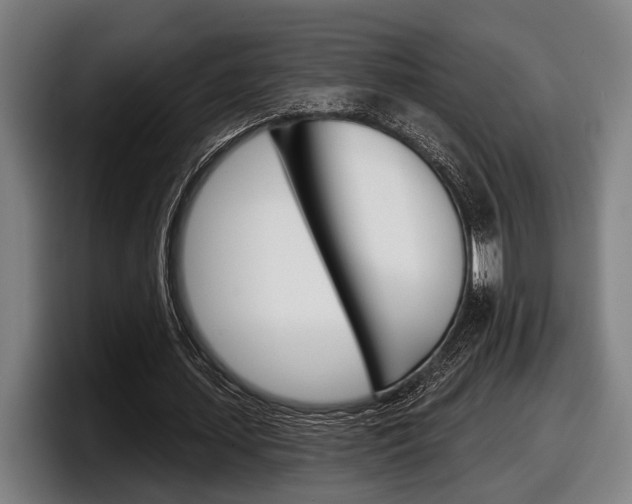 X0000098150627200804171157