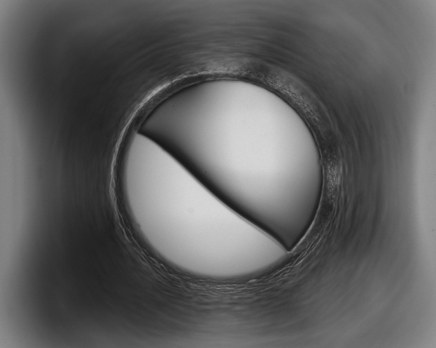 X0000098150628200804171157