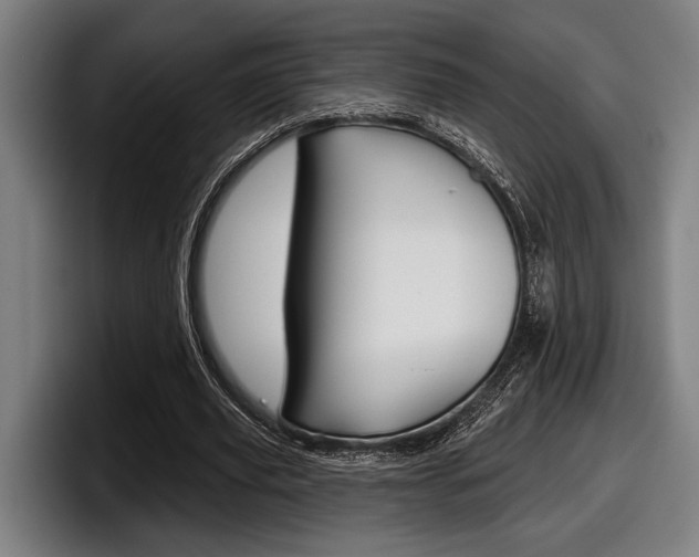 X0000098150629200804171157