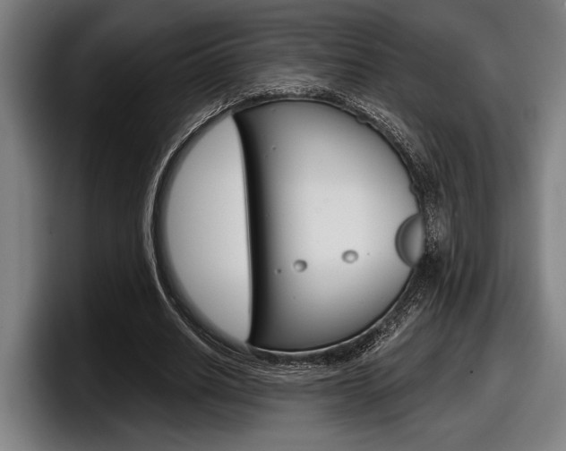 X0000098150630200804171157