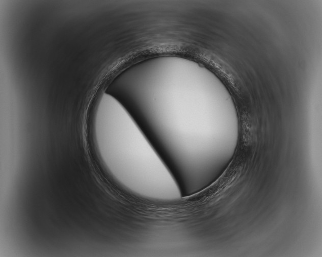 X0000098150631200804171157