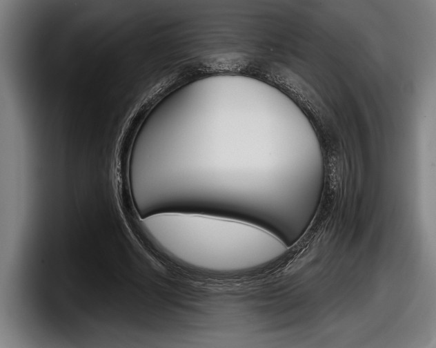 X0000098150634200804171157
