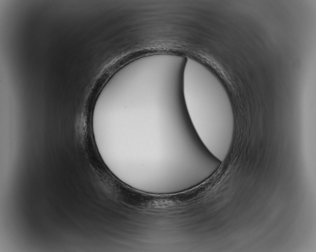 X0000098150636200804171157