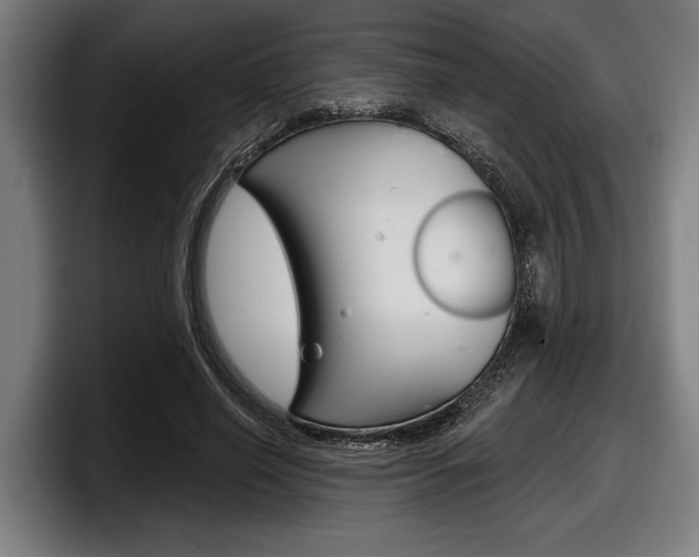 X0000098150638200804171157