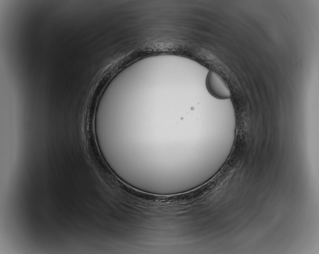 X0000098150640200804171157