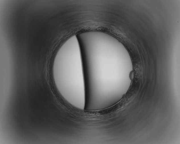 X0000098150642200804171157