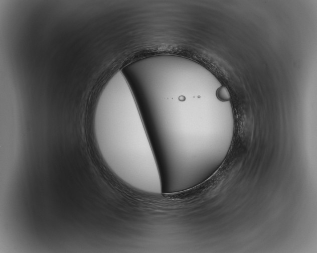 X0000098150643200804171157