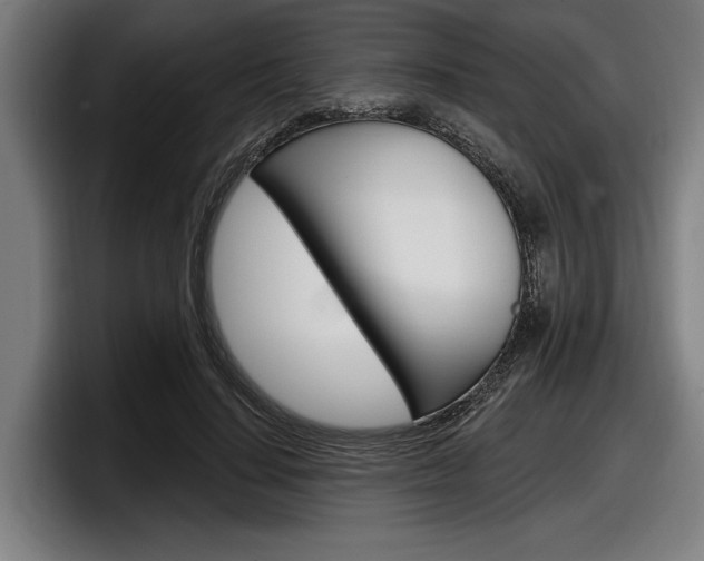 X0000098150644200804171157