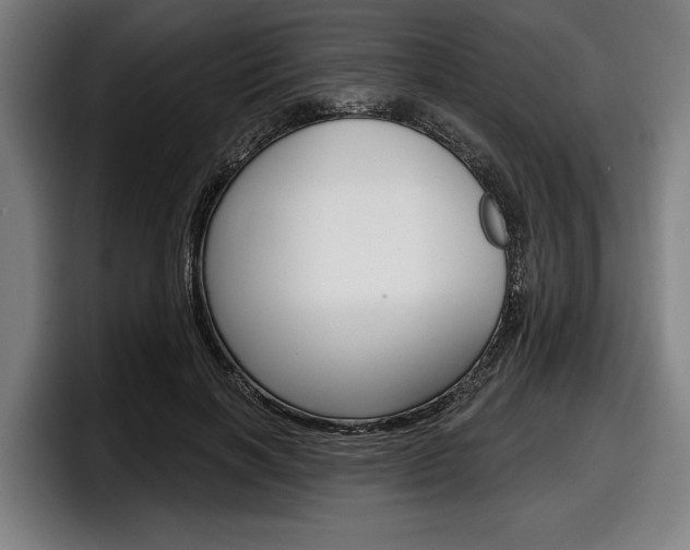X0000098150646200804171157