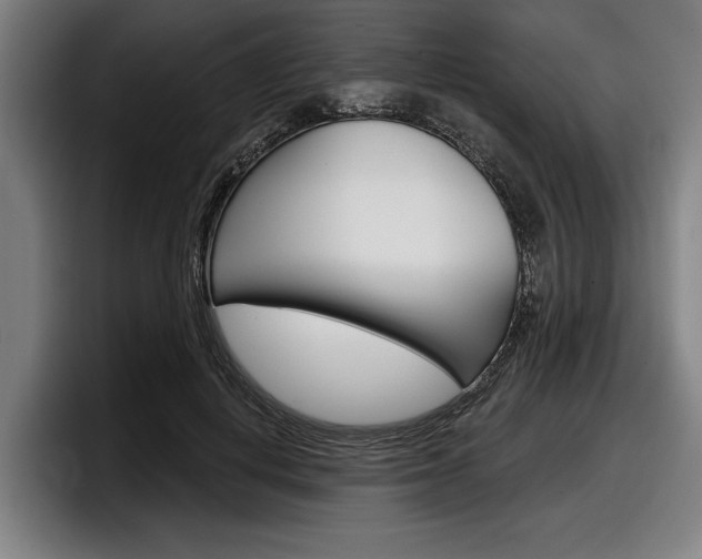 X0000098150648200804171157