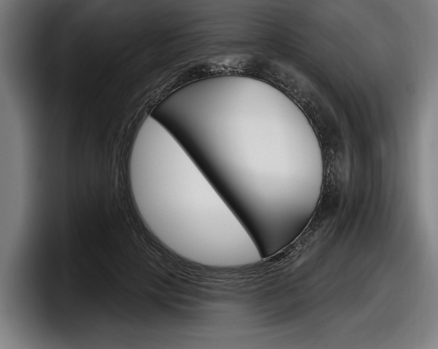 X0000098150649200804171157