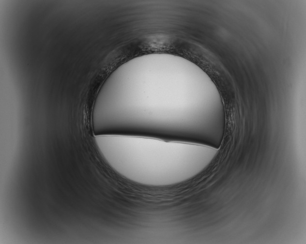 X0000098150651200804171157