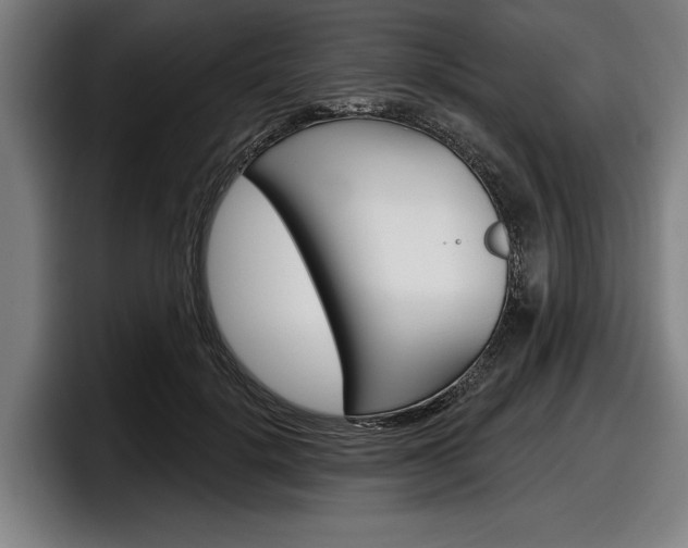 X0000098150652200804171157