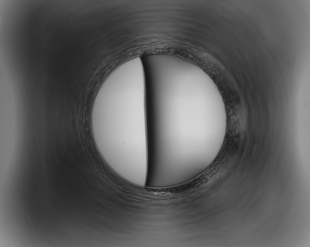 X0000098150654200804171157