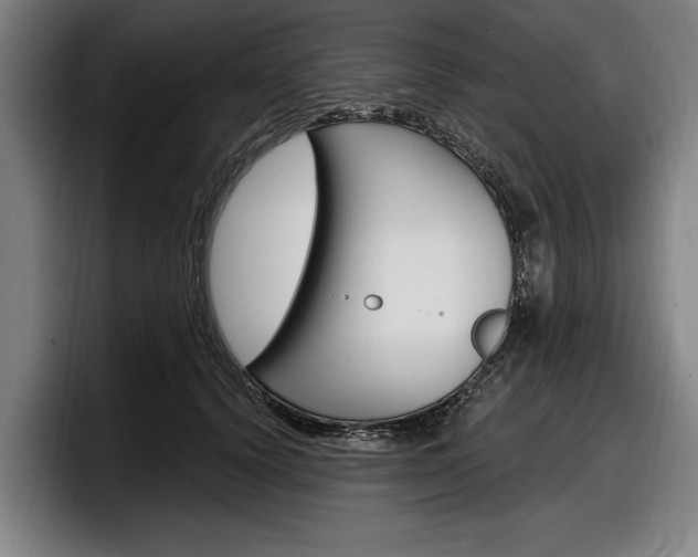 X0000098150656200804171157