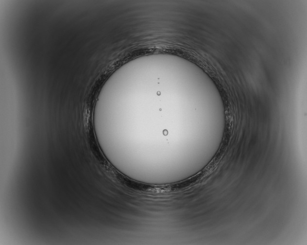 X0000098150660200804171157