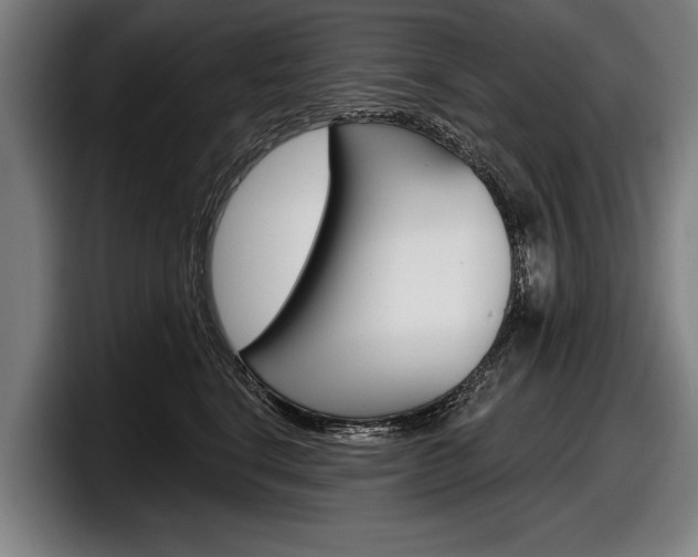 X0000098150664200804171158