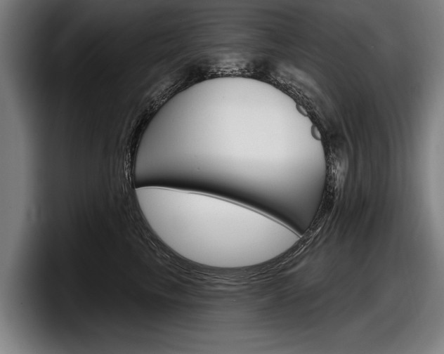 X0000098150665200804171158