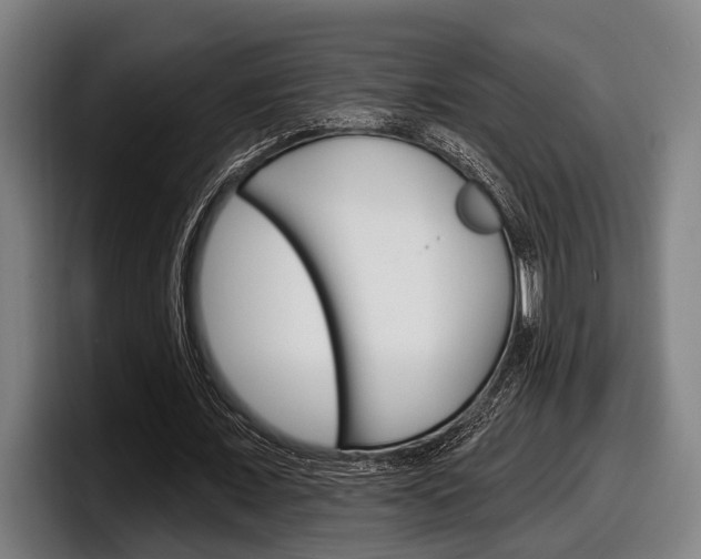 X0000098150675200804171157