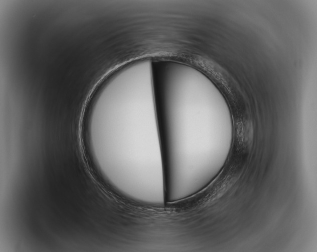 X0000098150676200804171157