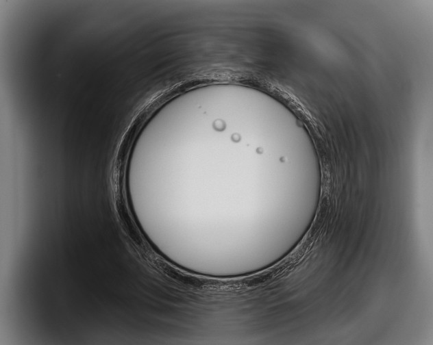 X0000098150679200804171157