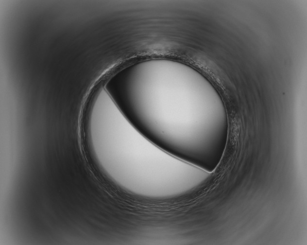 X0000098150680200804171157