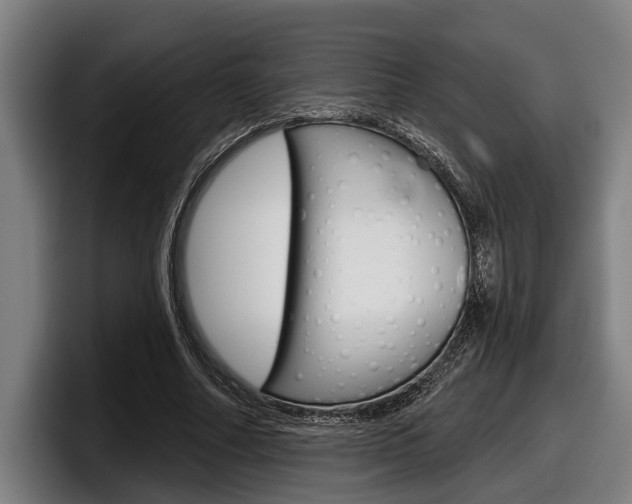X0000098150682200804171157