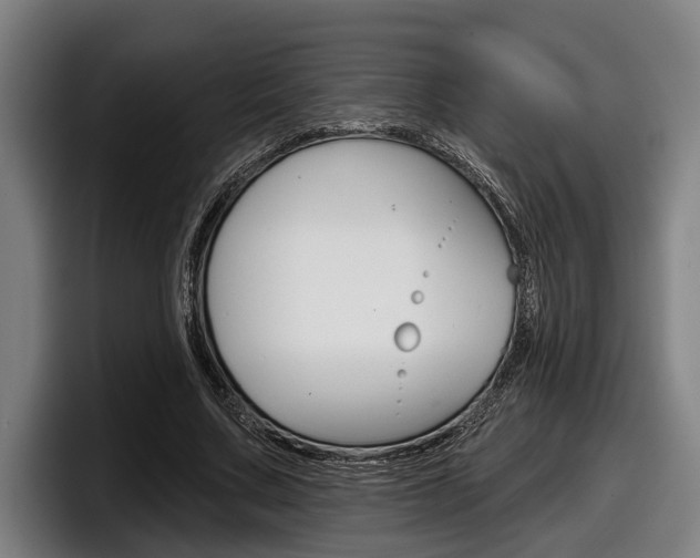 X0000098150683200804171157