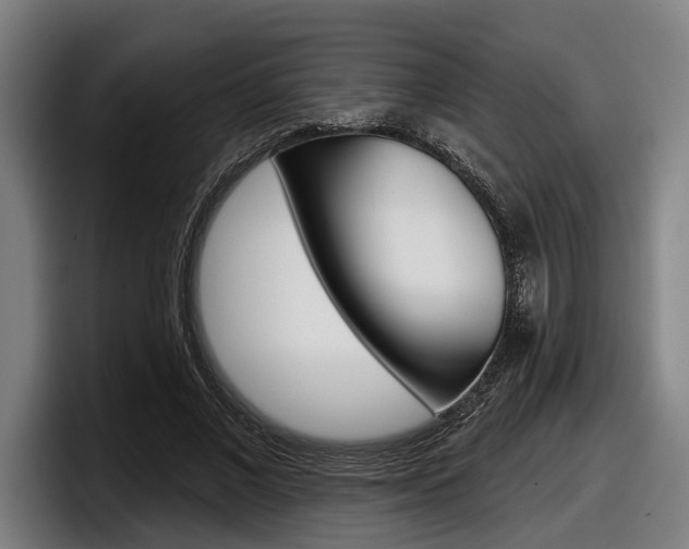 X0000098150685200804171157