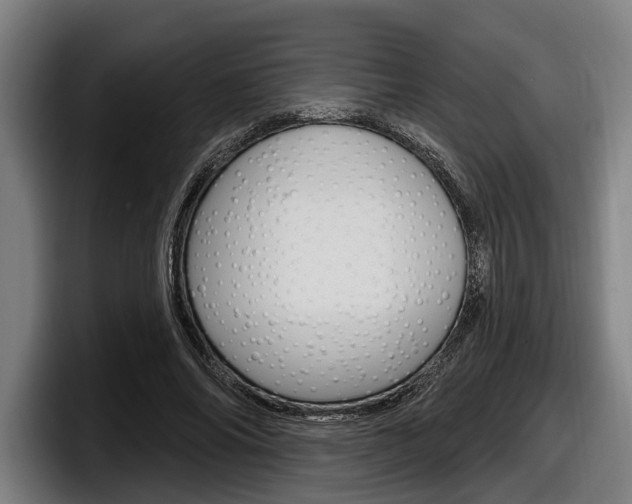 X0000098150686200804171157