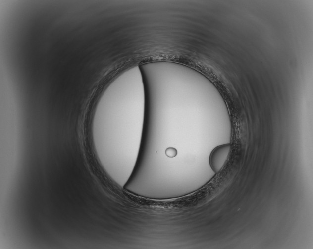 X0000098150690200804171157