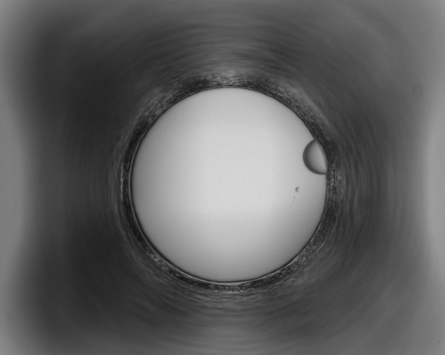 X0000098150694200804171157