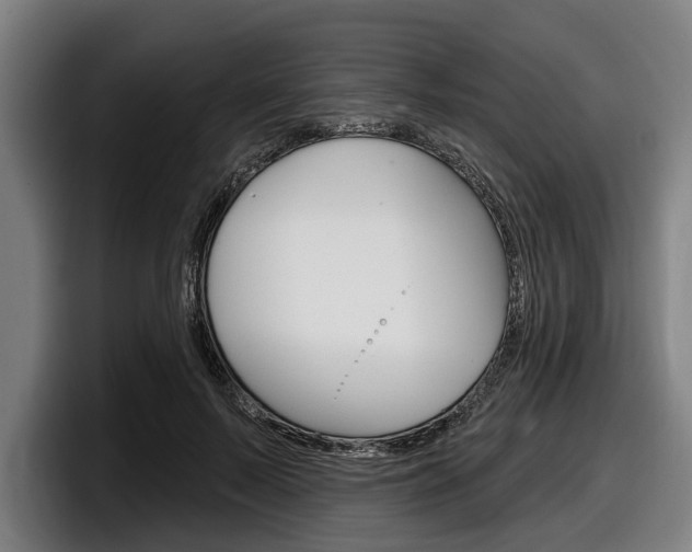 X0000098150695200804171157