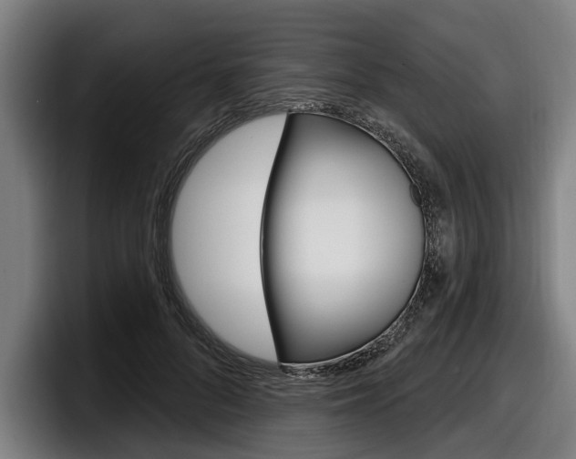 X0000098150696200804171157