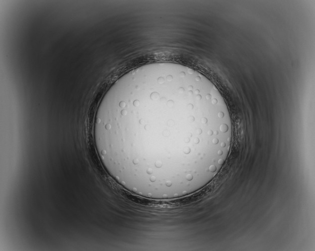 X0000098150698200804171157