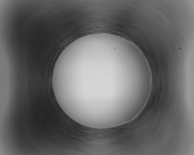 X0000098150701200804171157