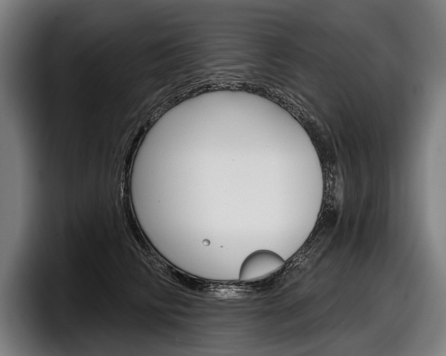 X0000098150710200804171157
