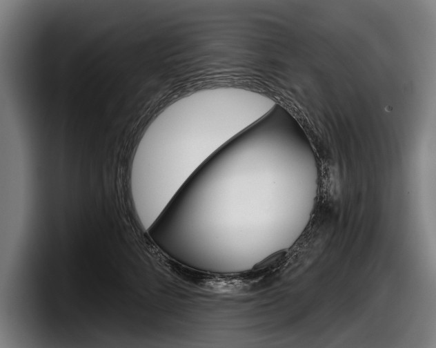 X0000098150712200804171156