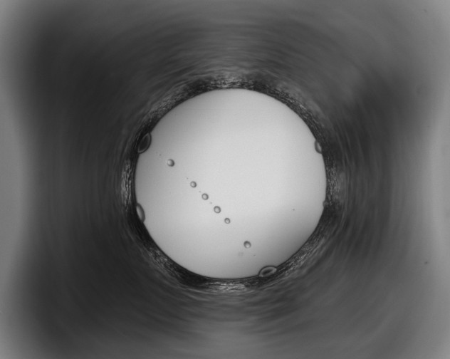 X0000098150719200804171156