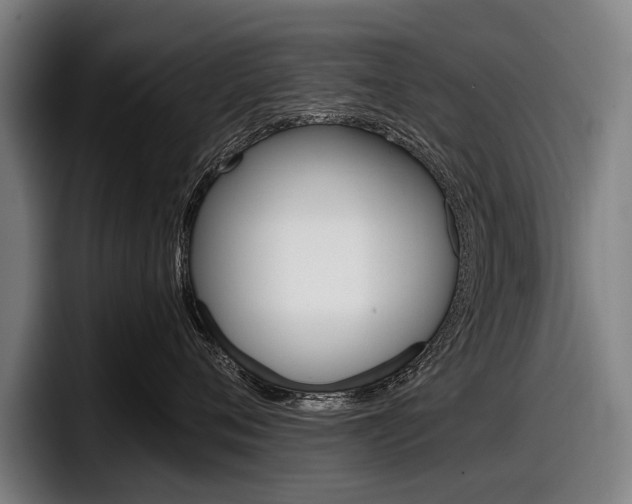 X0000098150720200804171156