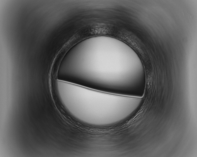 X0000098150722200804171156