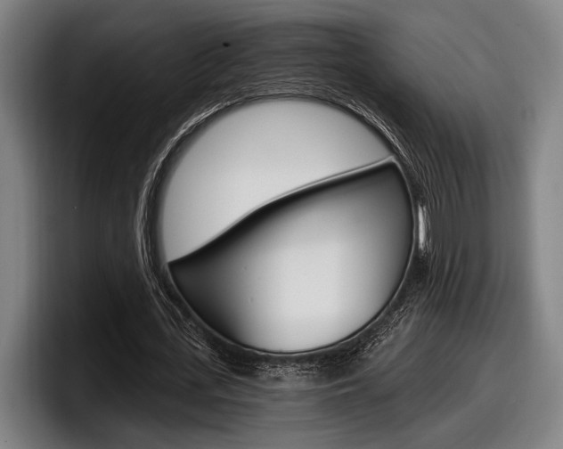 X0000098150723200804171156